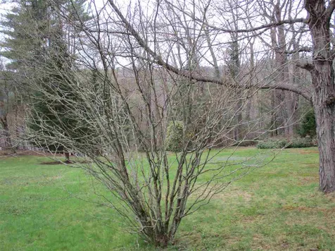 45 Keezer Road Bristol NH 03222