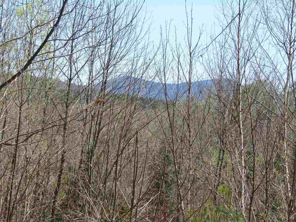 00 Bradley Hill Road Benton NH 03740