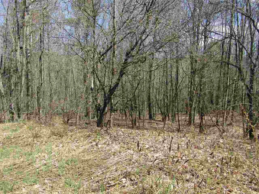00 Bradley Hill Road Benton NH 03740