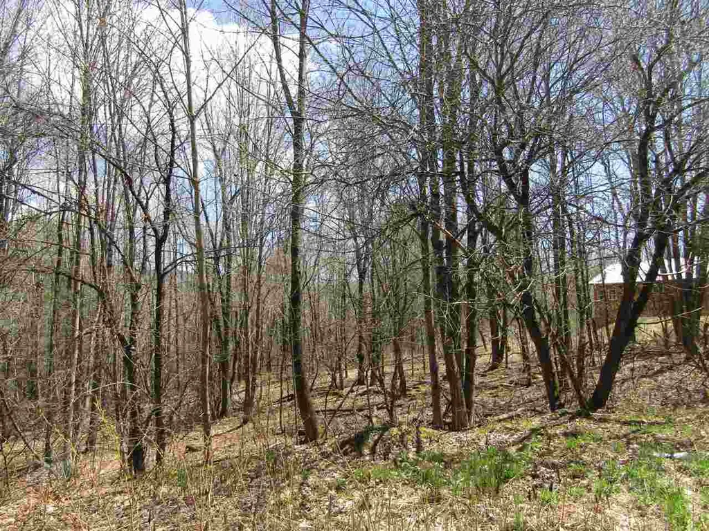 00 Bradley Hill Road Benton NH 03740