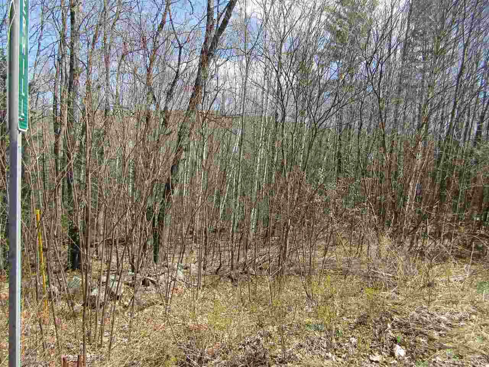 00 Bradley Hill Road Benton NH 03740