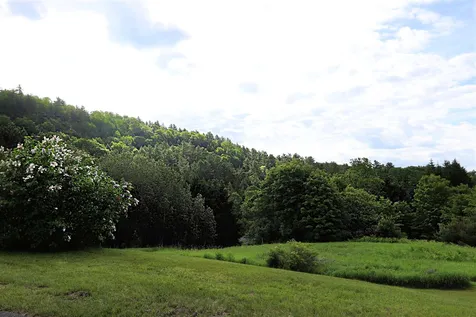 464 Peacham-danville Road Peacham VT 05862