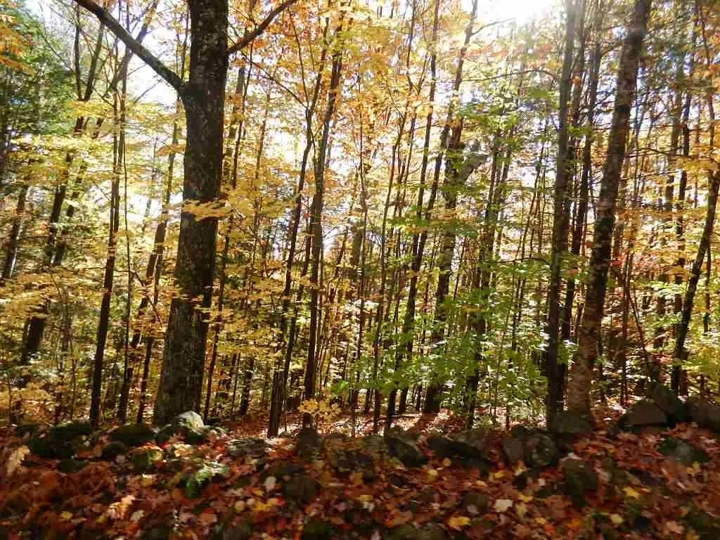 60 Sawyer Lake Road Gilmanton NH 03237