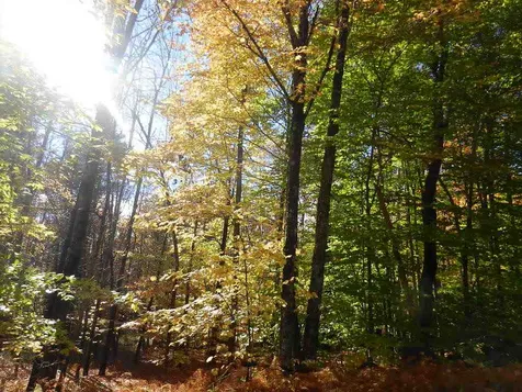 60 Sawyer Lake Road Gilmanton NH 03237