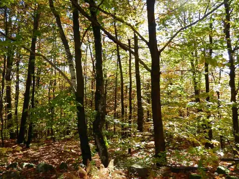 60 Sawyer Lake Road Gilmanton NH 03237