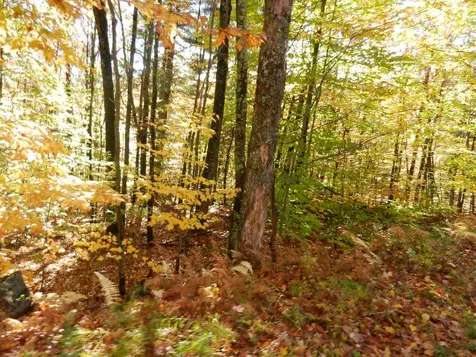 60 Sawyer Lake Road Gilmanton NH 03237