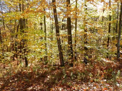 60 Sawyer Lake Road Gilmanton NH 03237