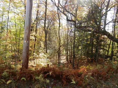 60 Sawyer Lake Road Gilmanton NH 03237