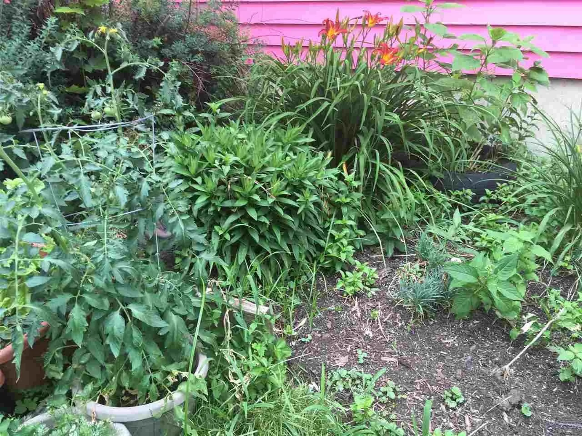 21 Foster Road Essex VT 05452