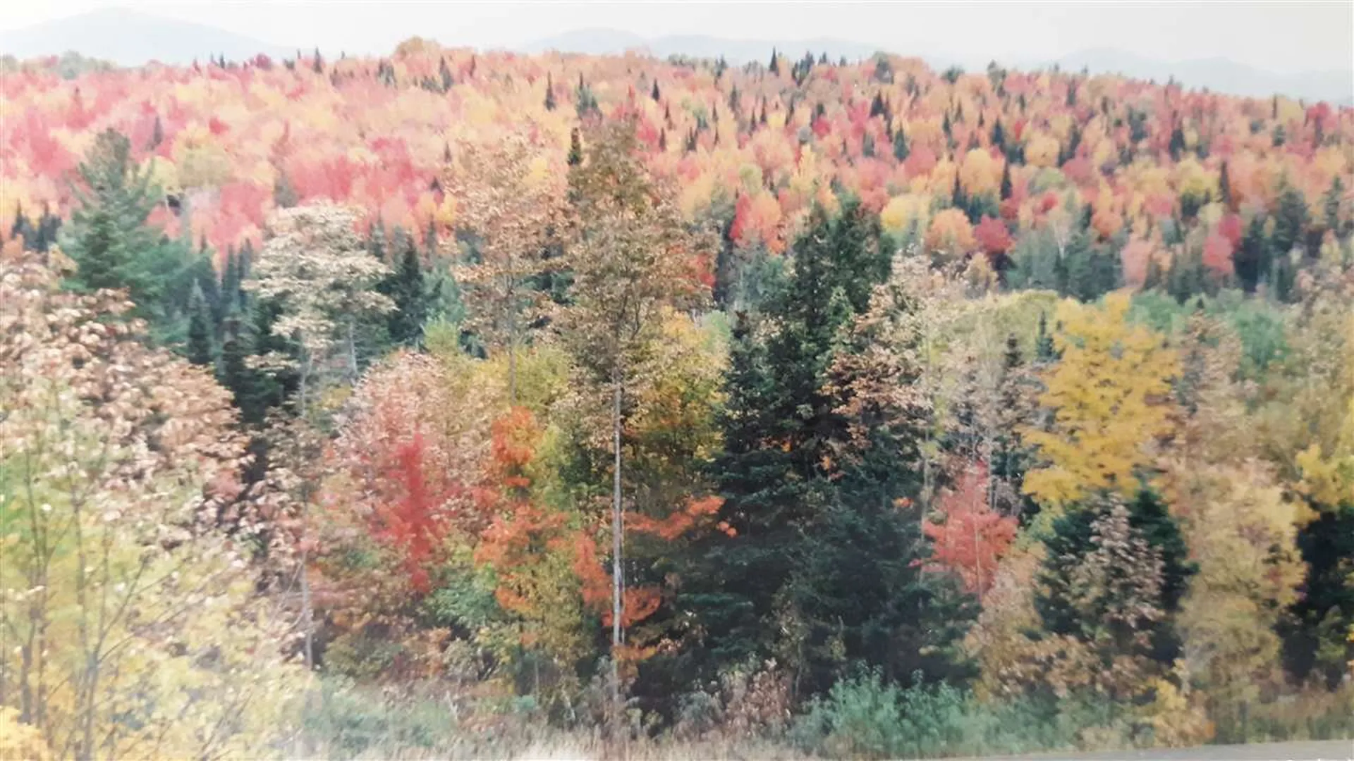 0 Gore Road Lancaster NH 03584