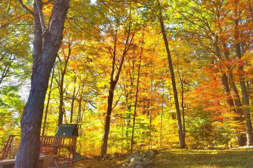 14 Williams Street Lebanon NH 03766