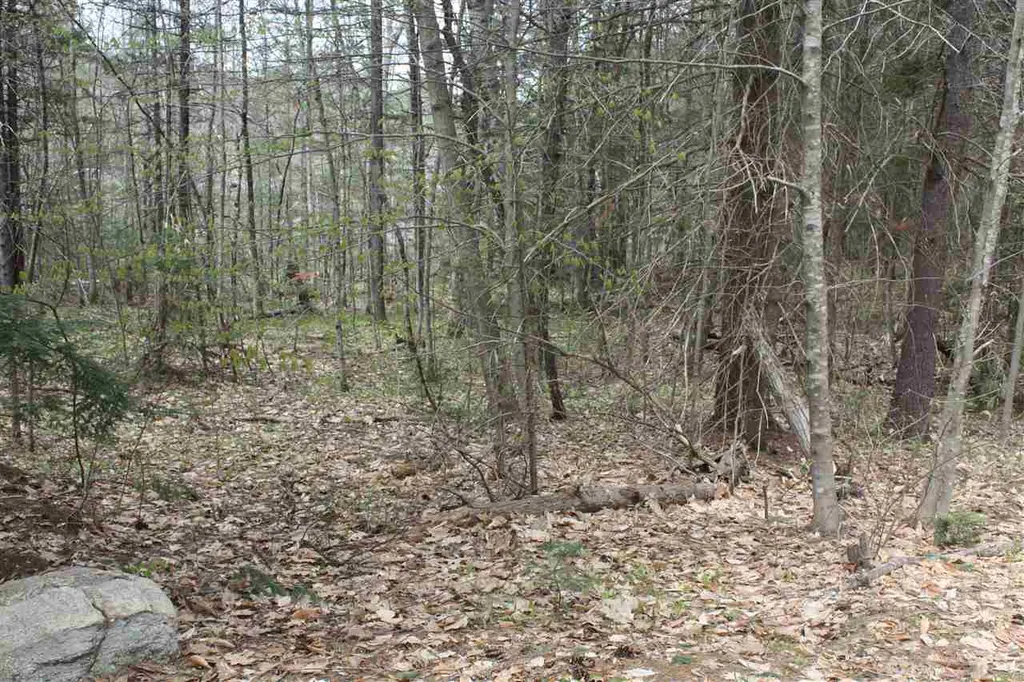 532 Us Route 4 Danbury NH 03230