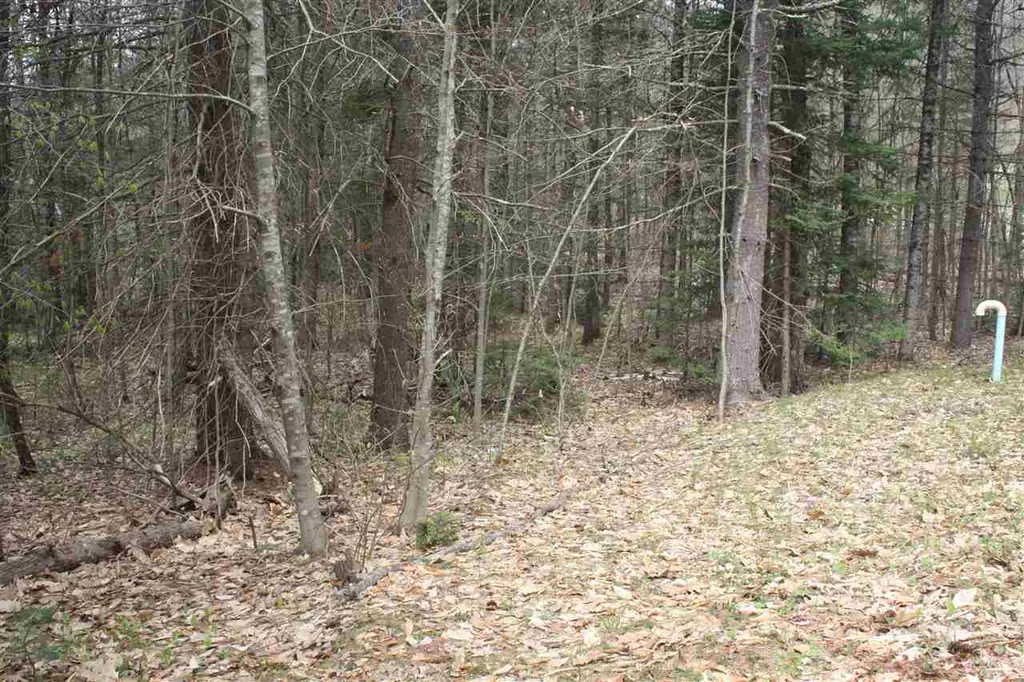 532 Us Route 4 Danbury NH 03230
