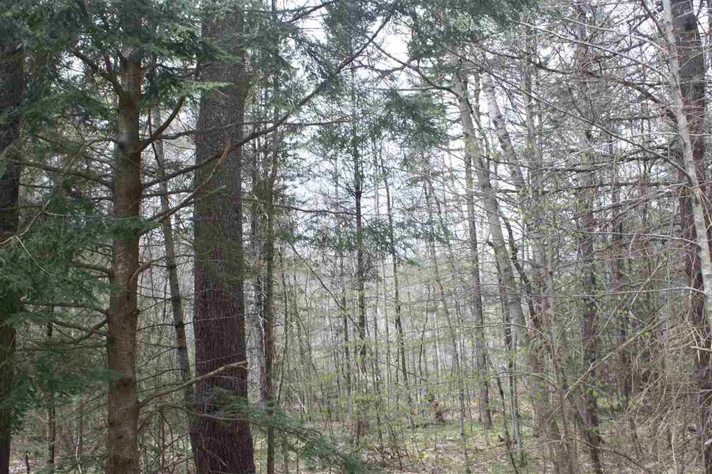 532 Us Route 4 Danbury NH 03230