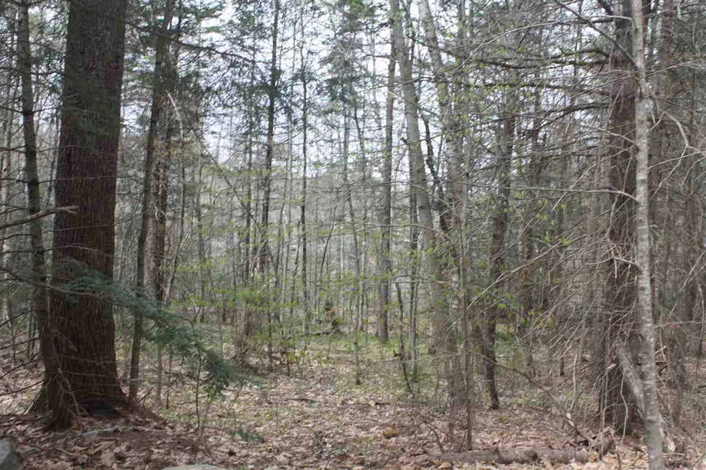 532 Us Route 4 Danbury NH 03230