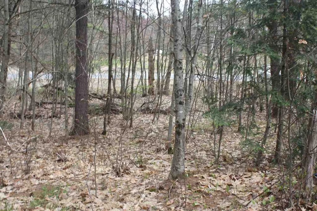 532 Us Route 4 Danbury NH 03230