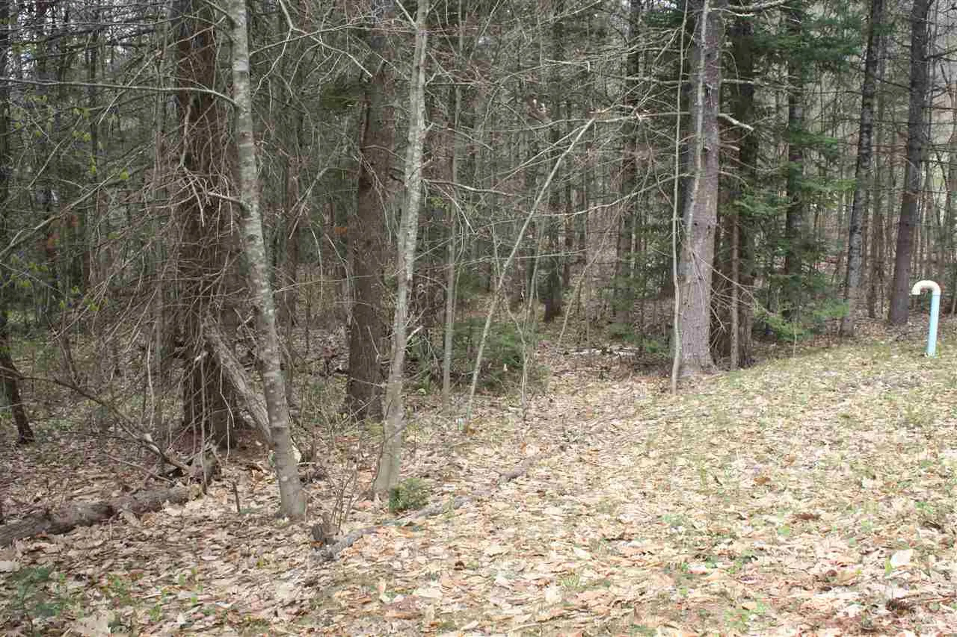 532 Us Route 4 Danbury NH 03230