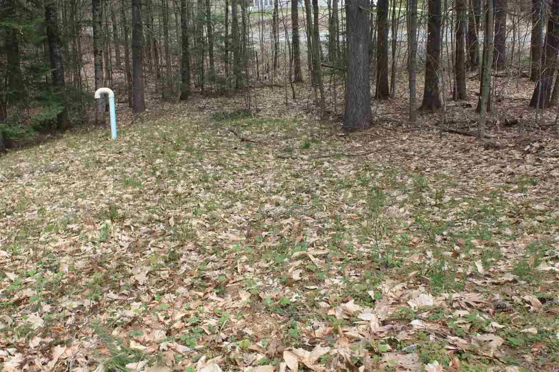 532 Us Route 4 Danbury NH 03230