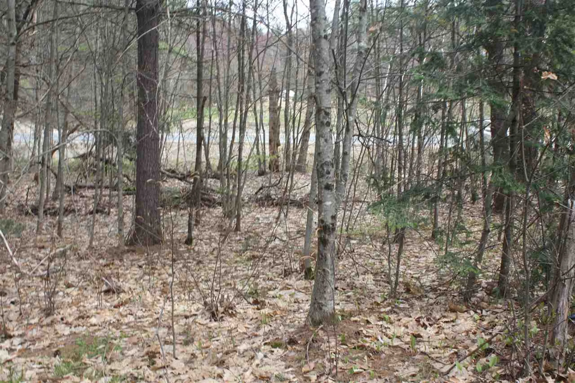 532 Us Route 4 Danbury NH 03230