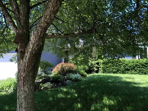 18 Rockland Street Burlington VT 05408