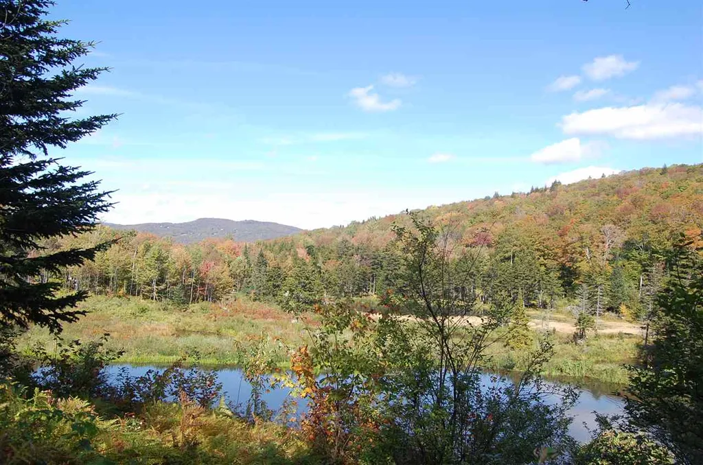 1923 German Flats Road Fayston VT 05673