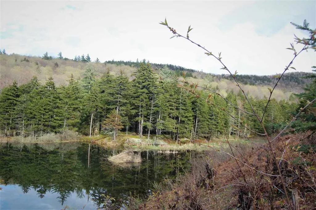 1923 German Flats Road Fayston VT 05673
