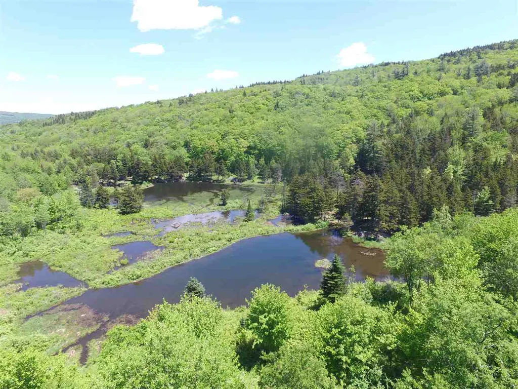 1923 German Flats Road Fayston VT 05673