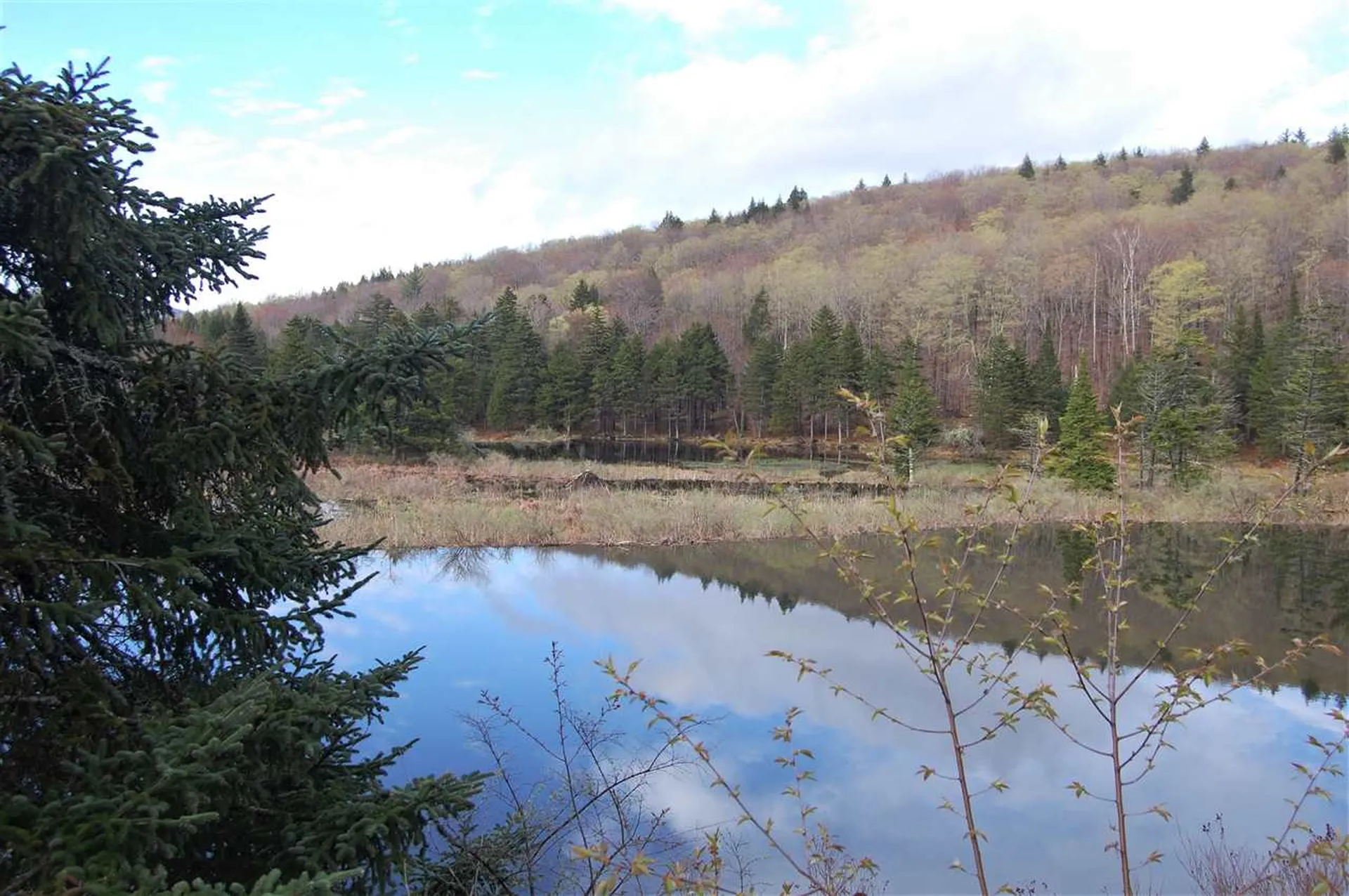 1923 German Flats Road Fayston VT 05673
