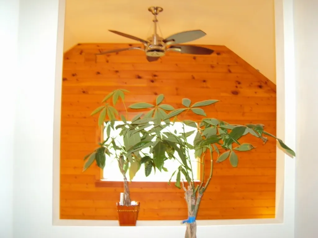 232 Aten Road Nelson NH 03457