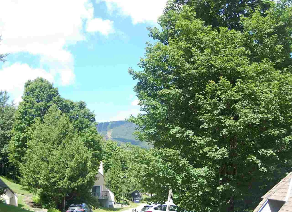 18 South Village Warren VT 05674