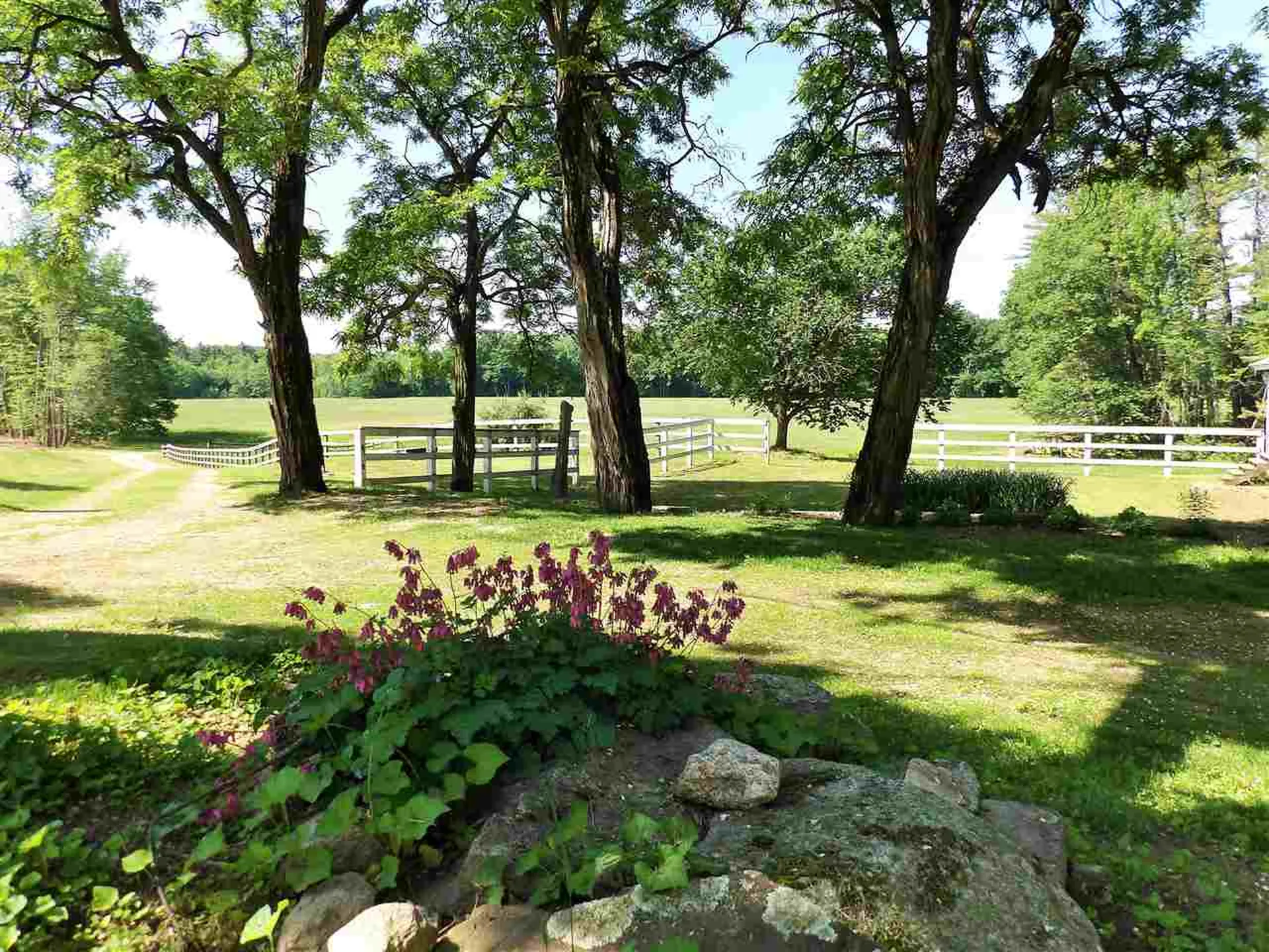 200 Swans Falls Road Fryeburg ME 04037