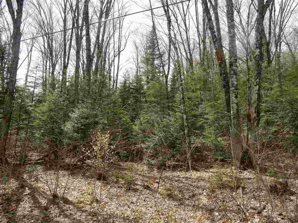 00 Center Pond Road Newark VT 05871