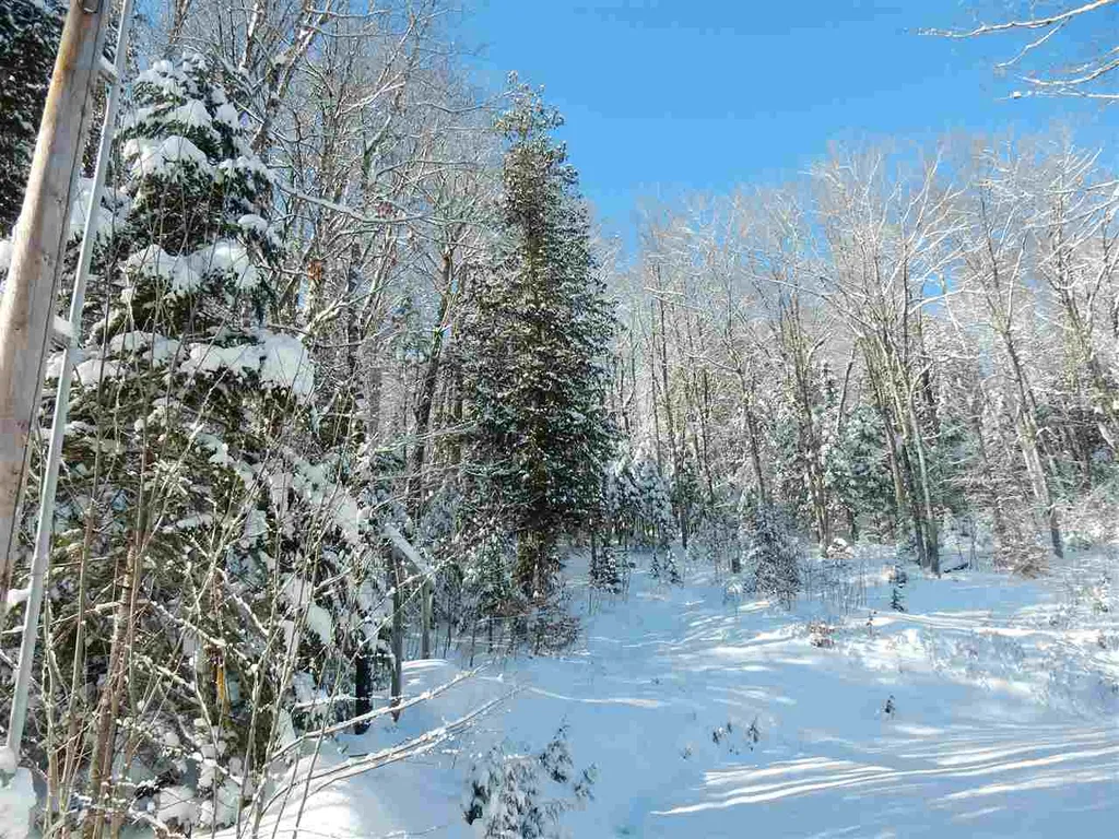 00 Center Pond Road Newark VT 05871