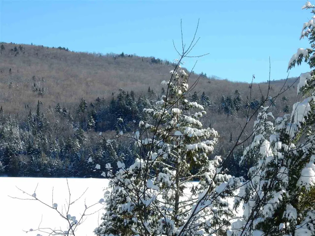 00 Center Pond Road Newark VT 05871