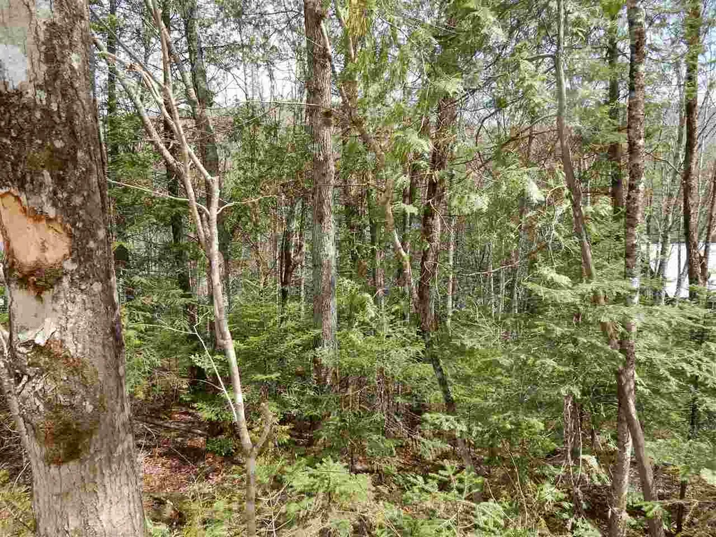 00 Center Pond Road Newark VT 05871