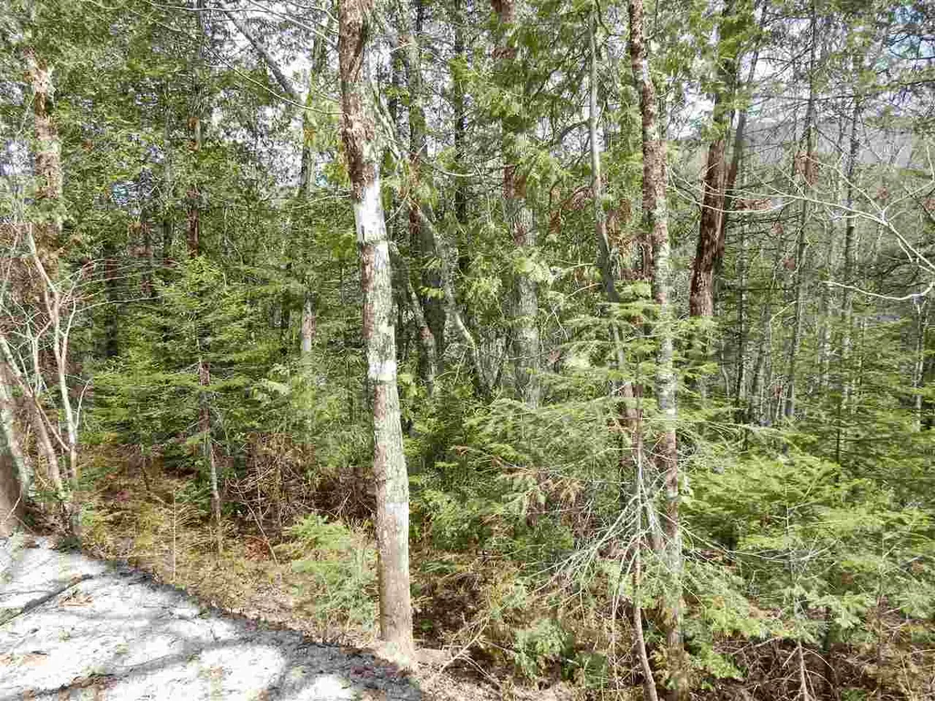 00 Center Pond Road Newark VT 05871