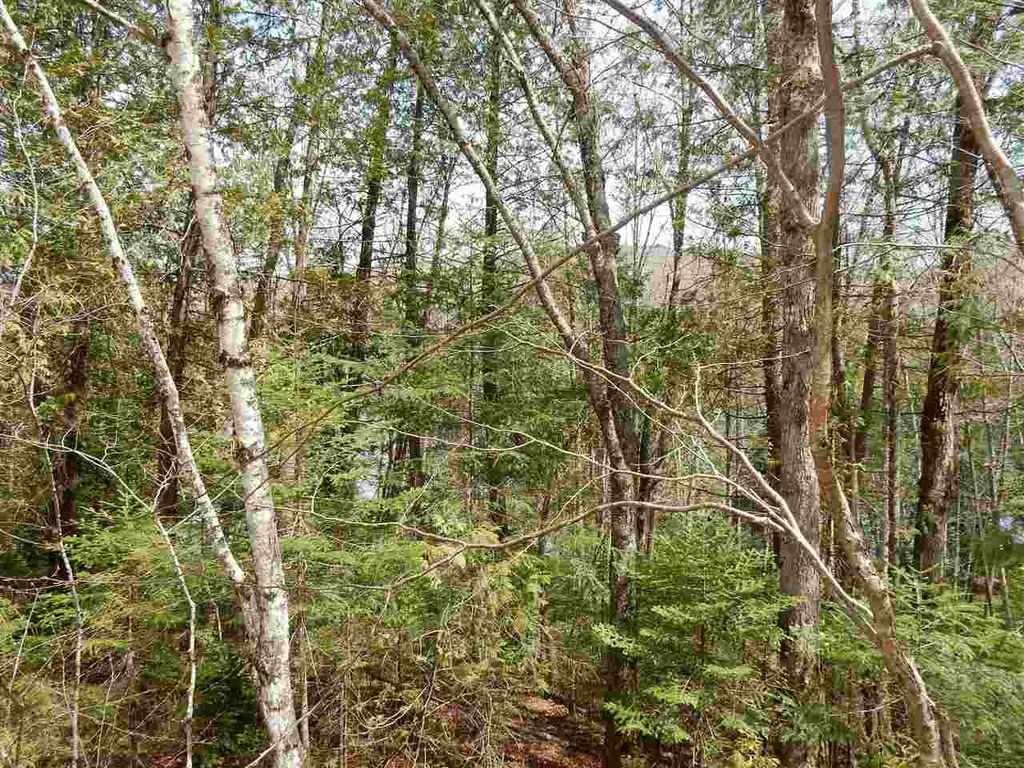 00 Center Pond Road Newark VT 05871