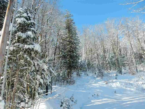 00 Center Pond Road Newark VT 05871