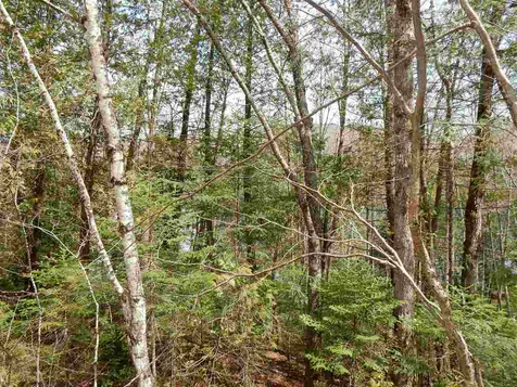 00 Center Pond Road Newark VT 05871