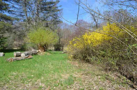 1539 Battle Street Webster NH 03303