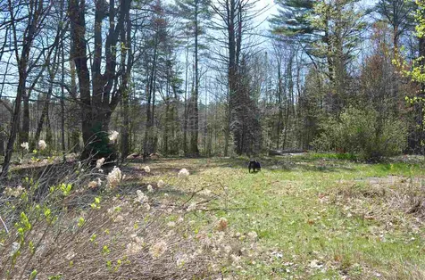 1539 Battle Street Webster NH 03303