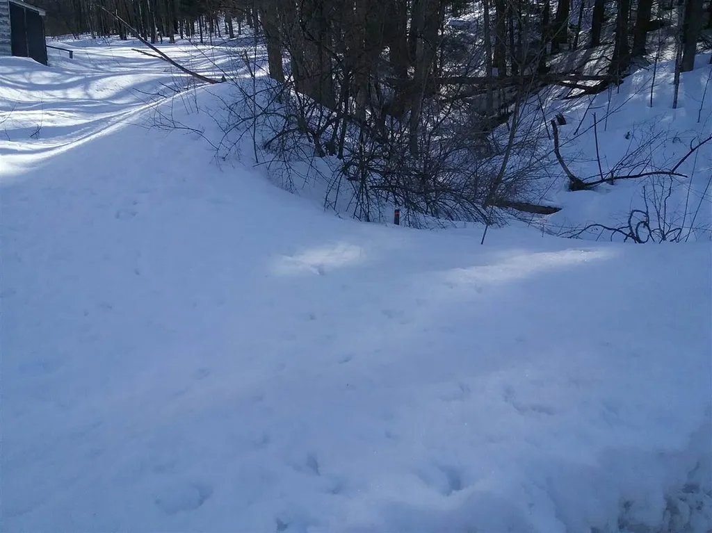53 Michigan Avenue Waterbury VT 05676