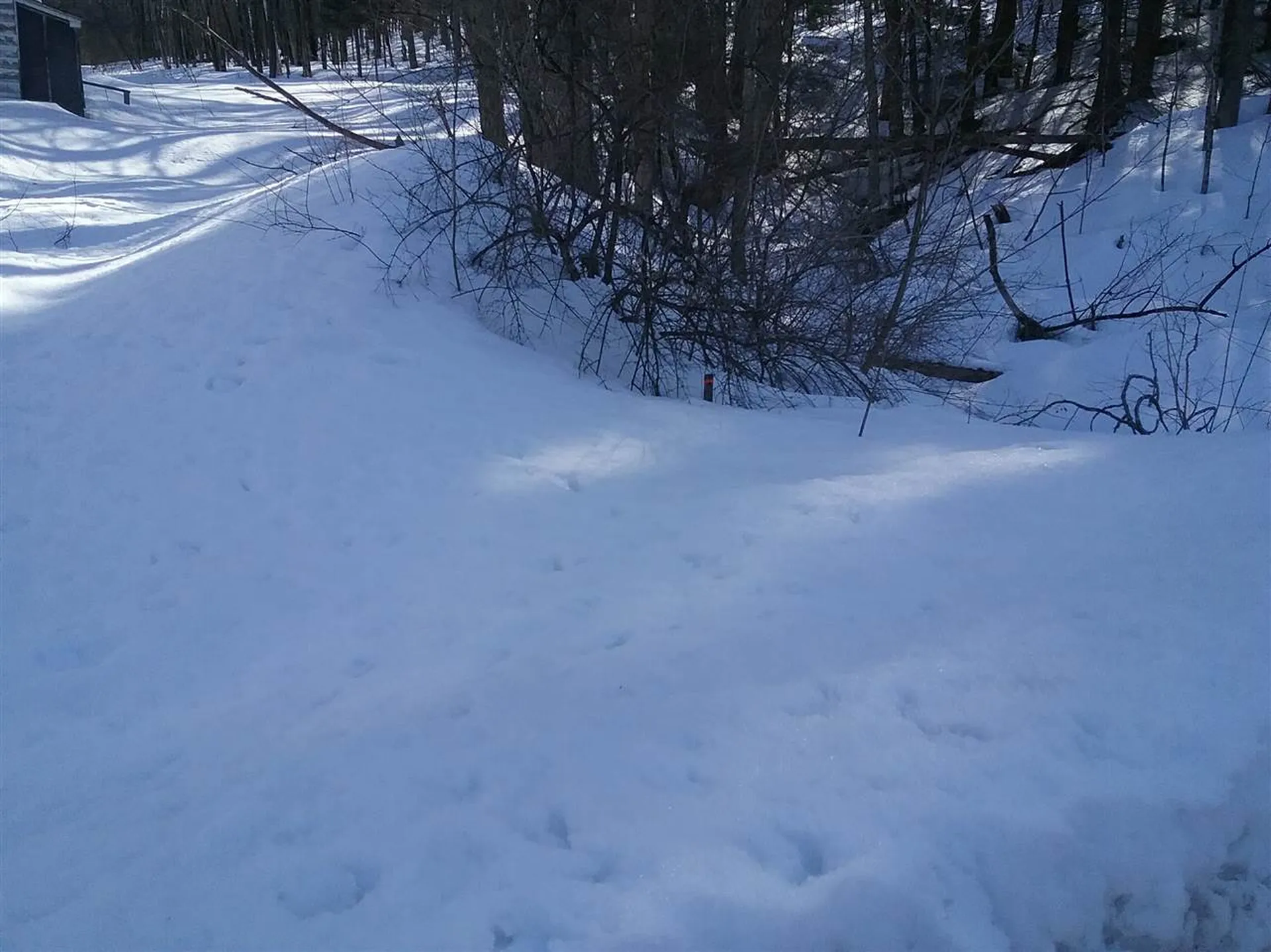 53 Michigan Avenue Waterbury VT 05676