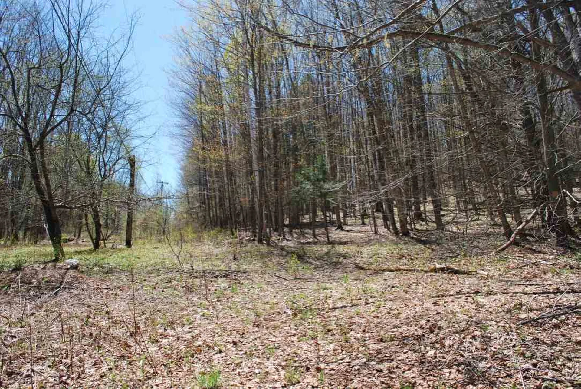 53 Michigan Avenue Waterbury VT 05676