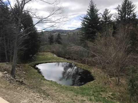 82 Beaver Pond Road Groton NH 03241