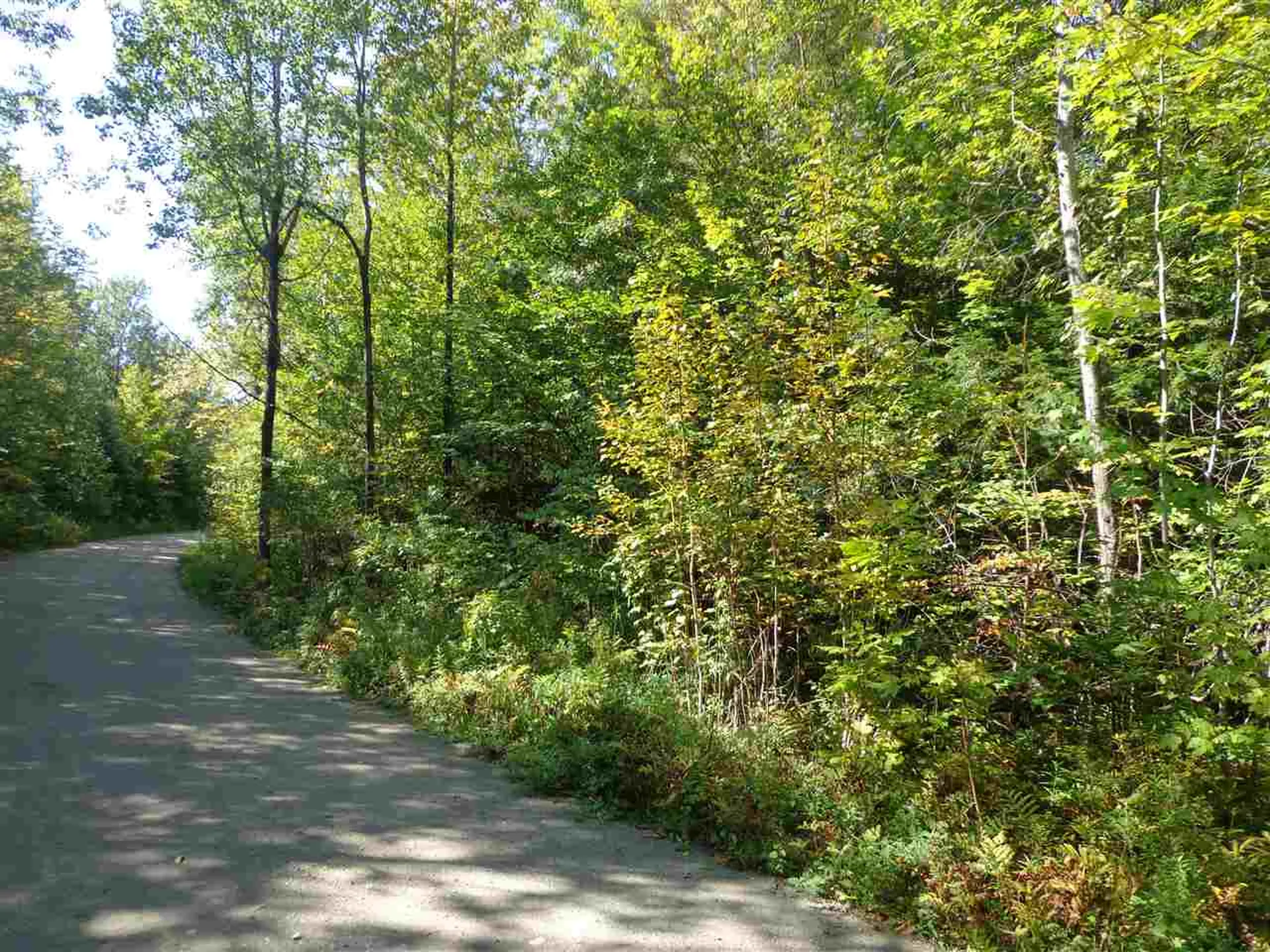 00 Gibbs Road Newport Town VT 05857