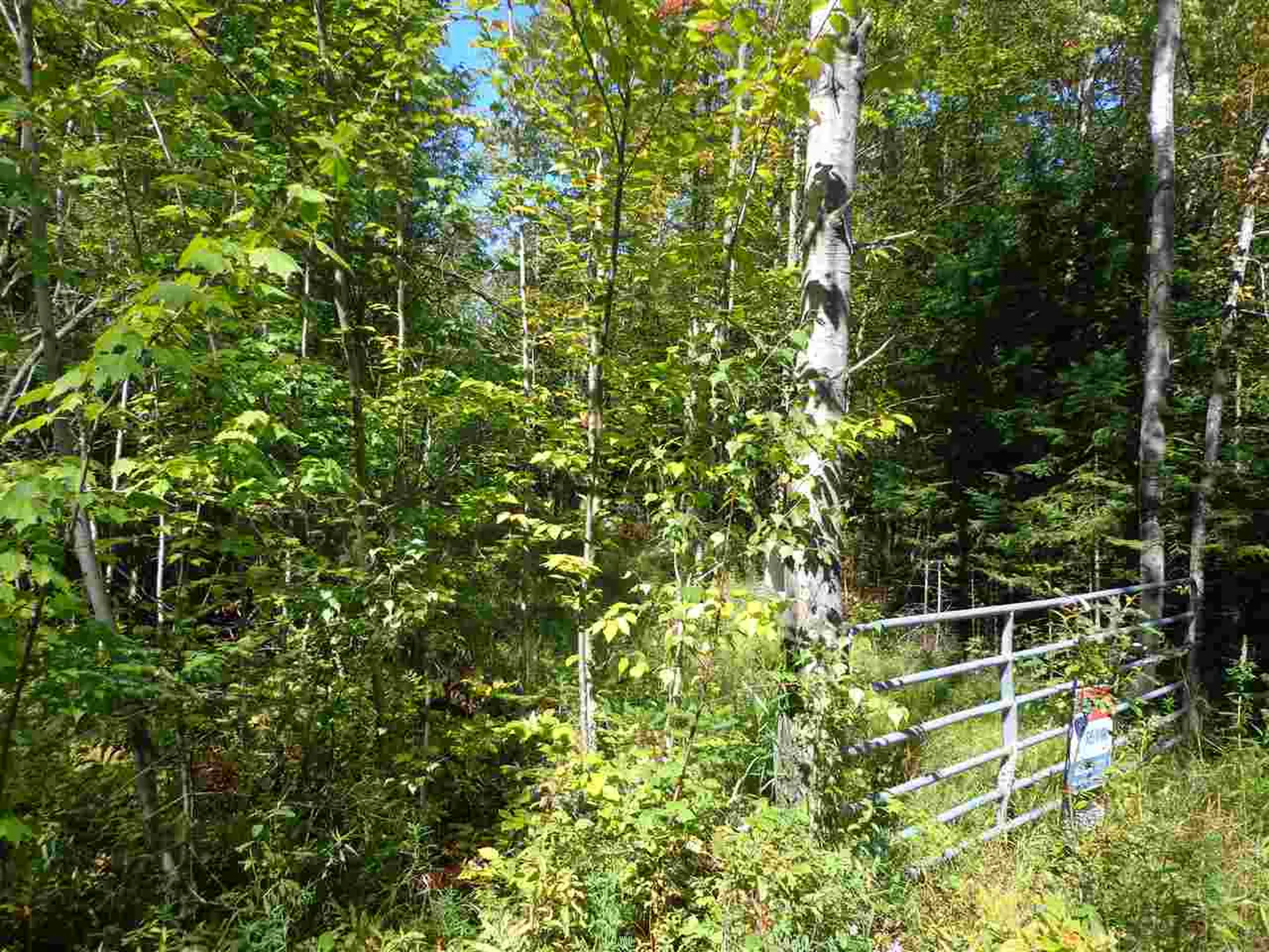 00 Gibbs Road Newport Town VT 05857