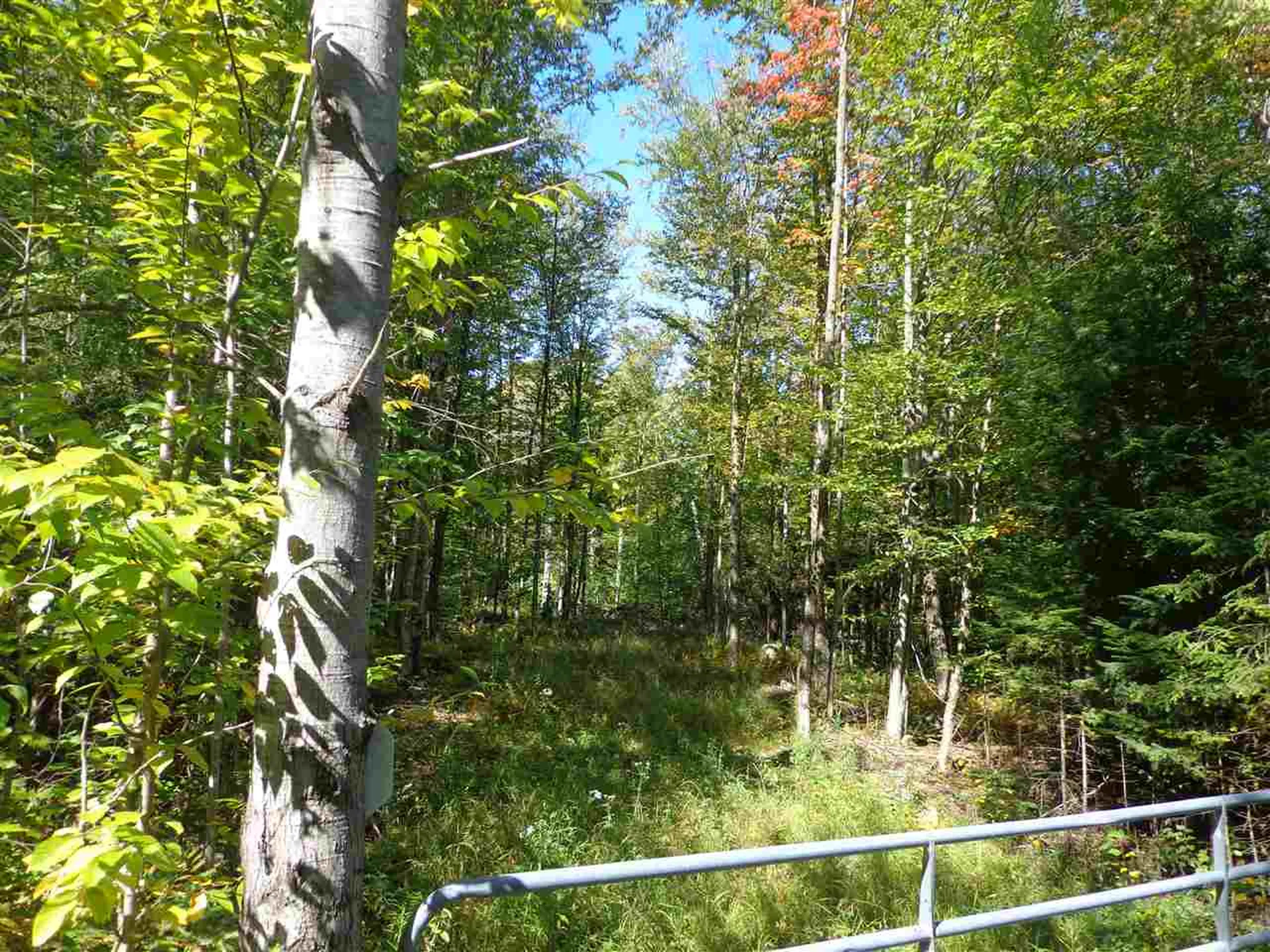 00 Gibbs Road Newport Town VT 05857