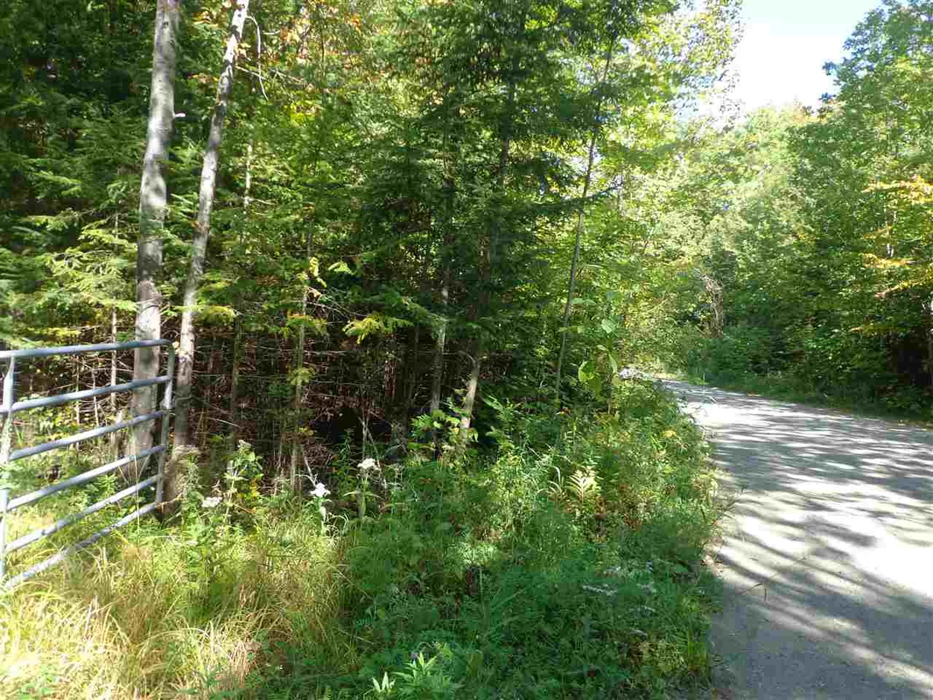00 Gibbs Road Newport Town VT 05857