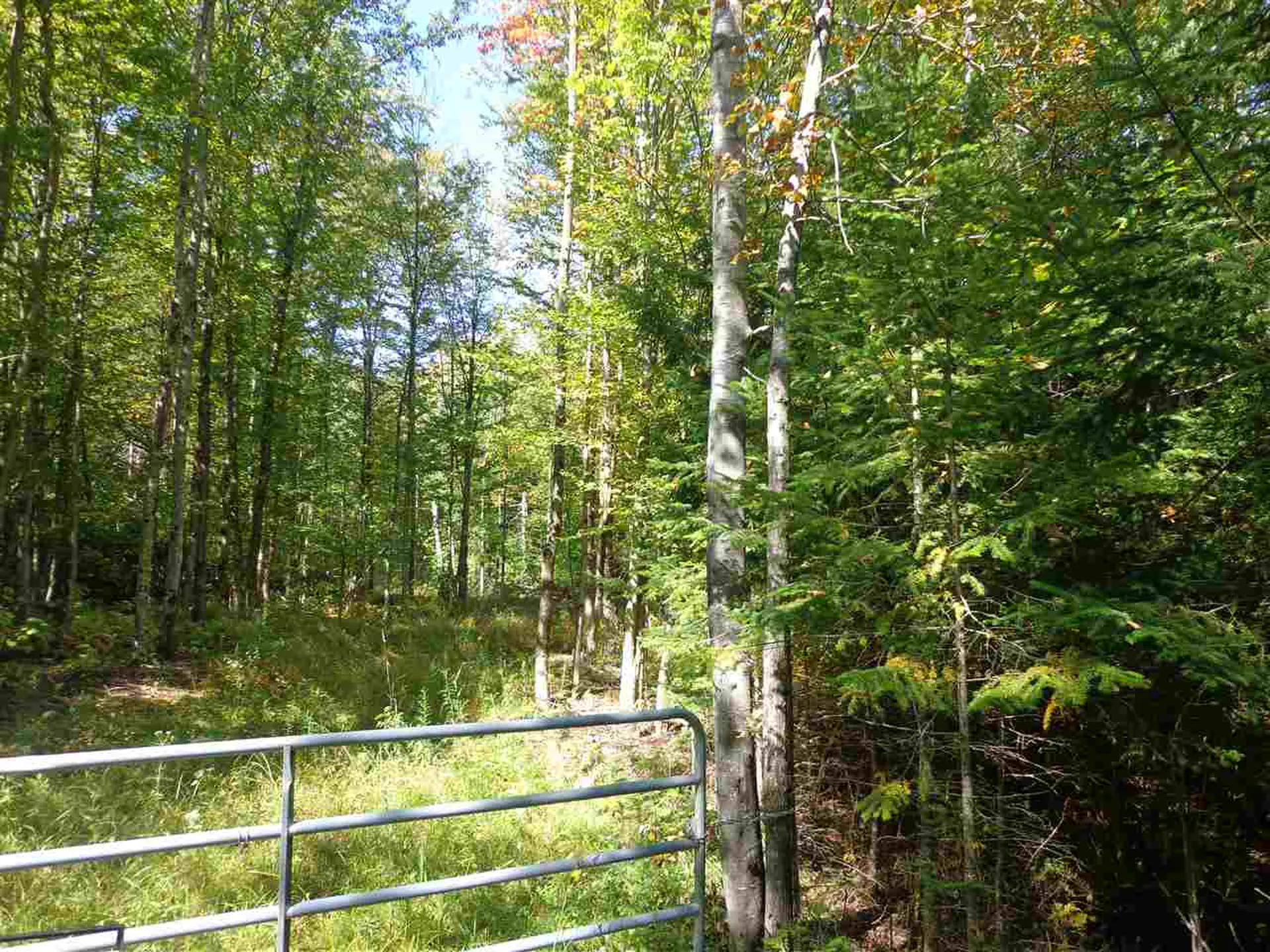 00 Gibbs Road Newport Town VT 05857